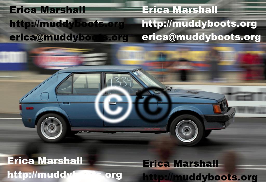 IMG_2600_BlueDodgeOmniPan